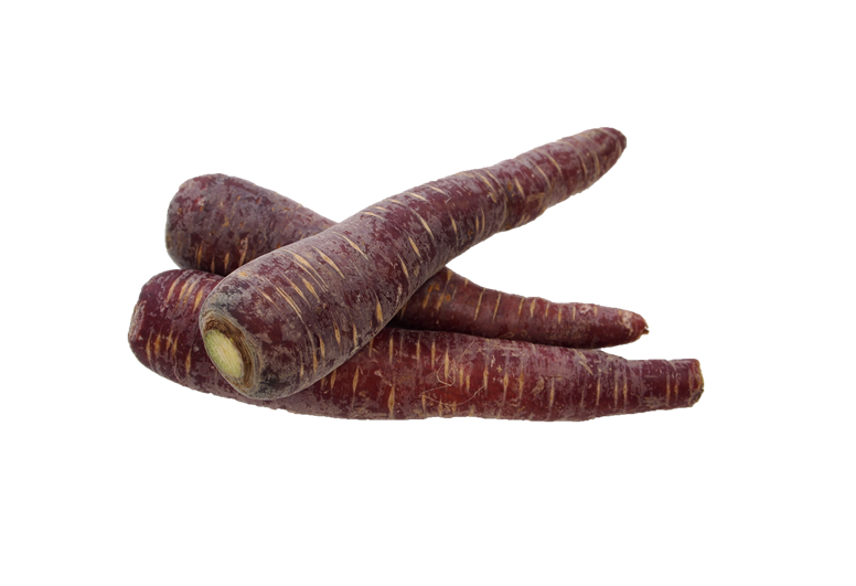 Karottenangebot KW2-3 Karotten violett